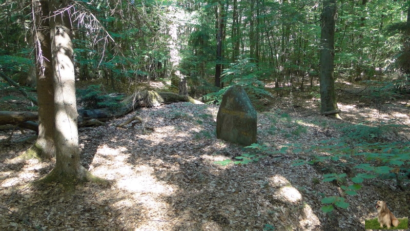 Ritterstein Nr. 174-3 Schanze 5 1793-94.JPG - Ritterstein Nr.174 Schanze 5 1793/94